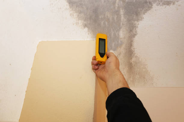 Best Residential Mold Inspection & Testing  in South Greensburg, PA