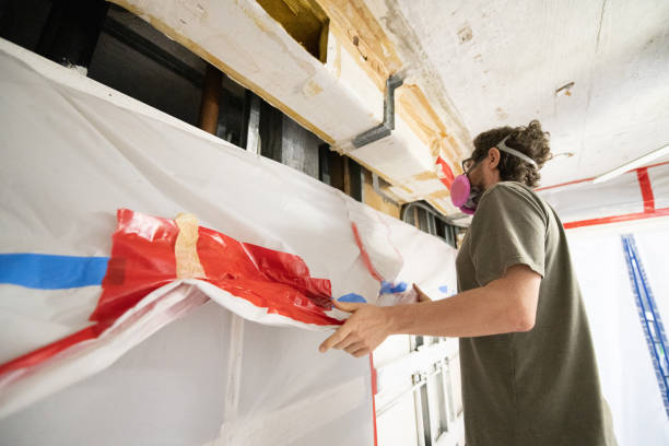 Best Asbestos and Lead Testing During Mold Inspection  in South Greensburg, PA