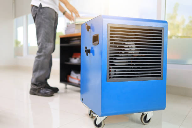 Best Mold Prevention Services  in South Greensburg, PA